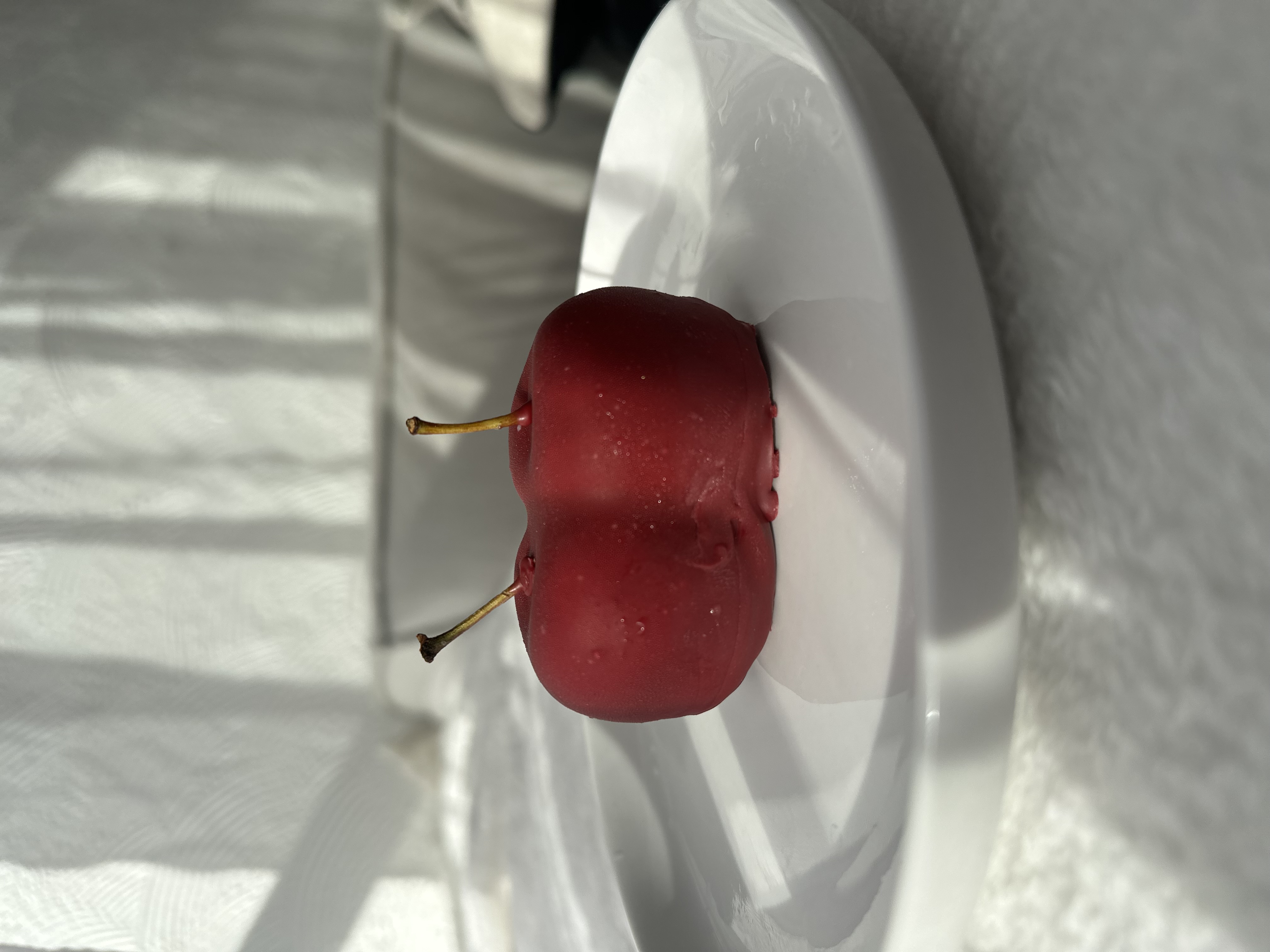 🍒Cerise façon forêt noir 